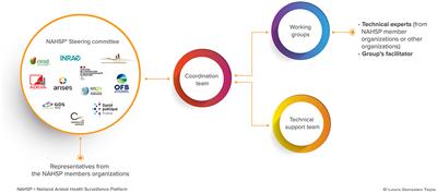 The French National Animal Health Surveillance Platform: an innovative, cross-sector collaboration to improve surveillance system efficiency in France and a tangible example of the One Health approach